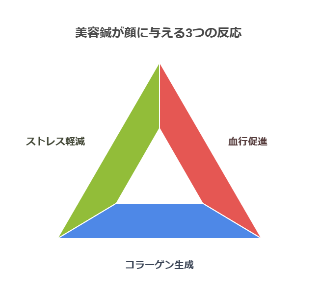 美容鍼が顔に与える3つの反応