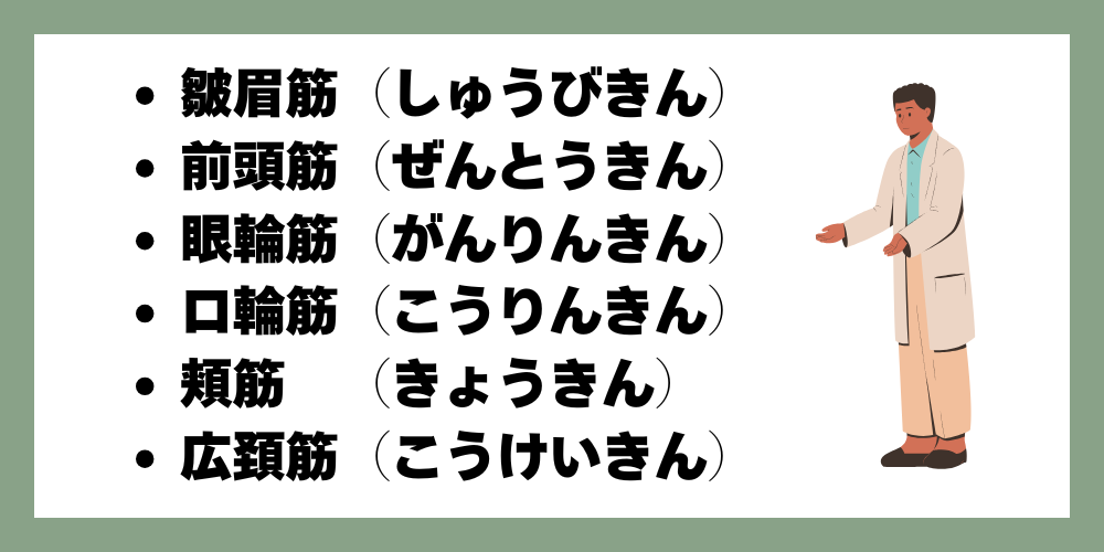 代表的な表情筋